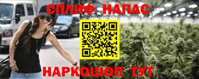 a pvp Кингисепп