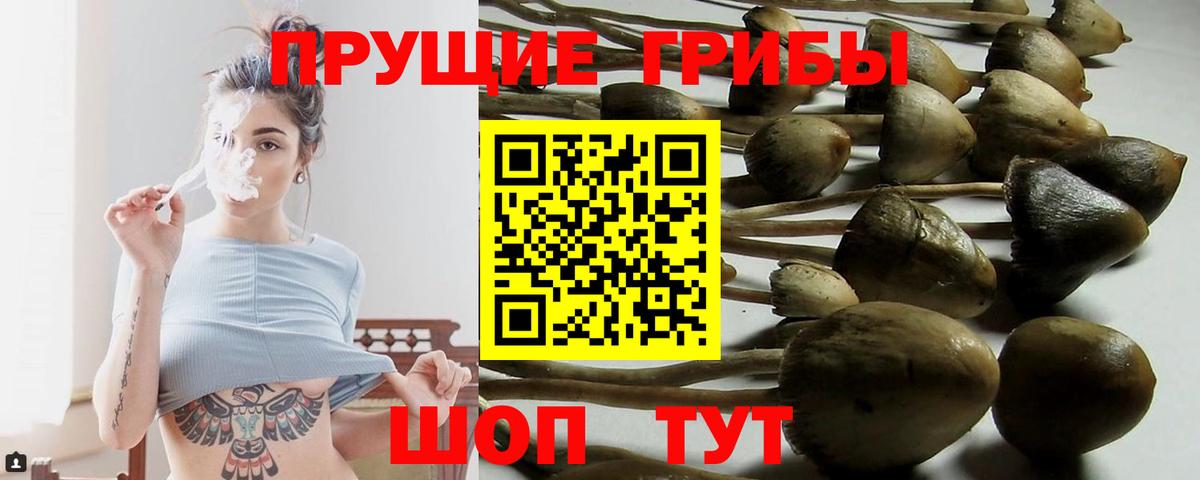 Псилоцибиновые грибы прущие грибы Лангепас